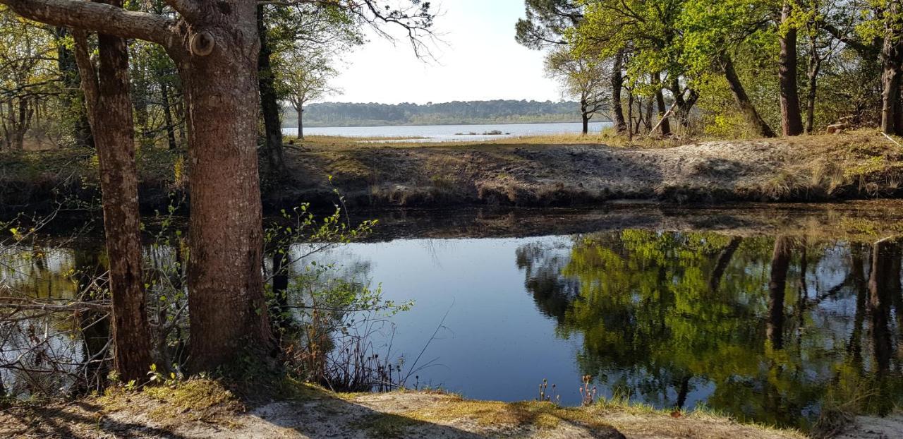 Chambre d'hôtes Entre-deux Lacs Biscarrosse Extérieur photo
